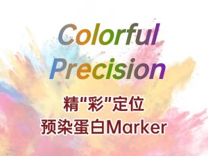 精 “彩” 定位：蛋白 Marker 助力蛋白質研究