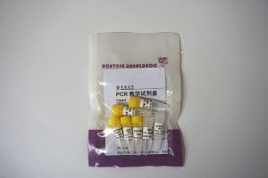 PCR教學試劑盒 （P8021-P8022）