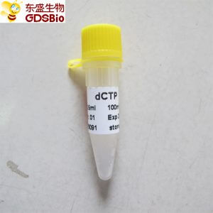 dCTP P9091