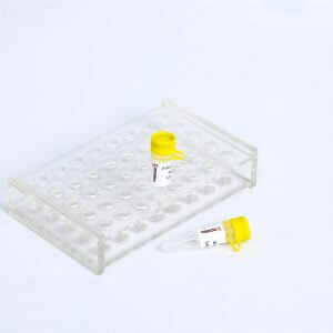 NotI E1027-A E1027-B