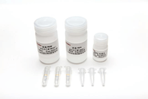 植物DNA提取試劑盒（離心柱型）