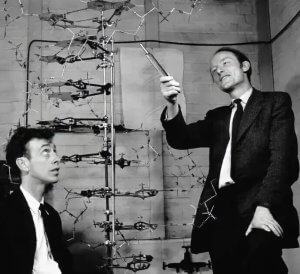 DNA 雙螺旋結構的發現：科學史上的偉大突破